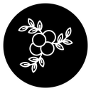 Berry Branch icon