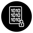 Binary Lock icon