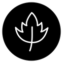 Birch leaf 2 icon