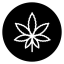 Birch leaf icon