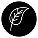 Birch leaf icon