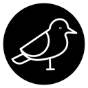 Bird icon