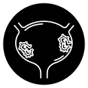 Bladder Cancer icon