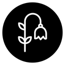 Bluebell Flower icon
