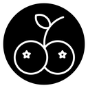 Blueberries icon