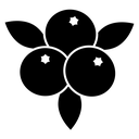 Blueberries Cluster Leaves icon