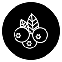 Blueberry icon