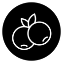 Blueberry icon