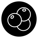 Blueberry 2 icon