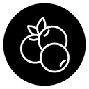 Blueberry 3 icon