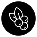 Blueberry icon