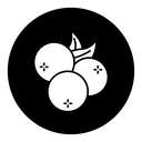 Blueberry 2 icon