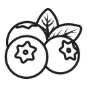 Blueberry 3 icon
