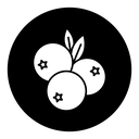 Blueberry icon