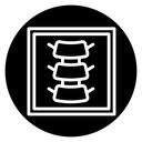 Body spine scan icon