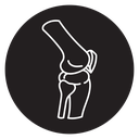 Bones 2 icon
