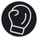 Boxing gloves 2 icon