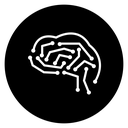 Brain circuit 2 icon