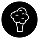 Broccoli icon