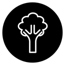 Broccoli icon