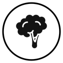 Broccoli icon
