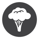 Broccoli icon