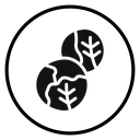 Brussels sprouts Cabbage icon
