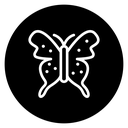 Butterfly icon