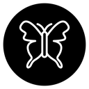 Butterfly 2 icon
