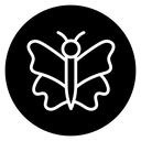 Butterfly icon