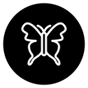 Butterfly icon