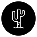 Cactus 2 icon