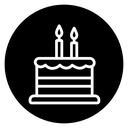 Cake birthday 2 icon