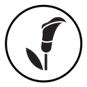Calla icon