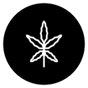 Cannabis 2 icon