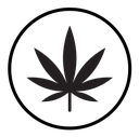 Cannabis leafs icon