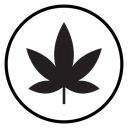Cannabis leafs icon