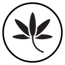 Cannabis leafs icon