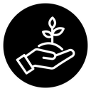 Care of plant icon