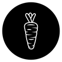 Carrot icon