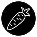 Carrot icon