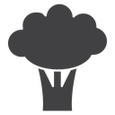 Cauliflower 2 icon