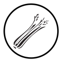 Celery icon