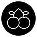 Cherry icon