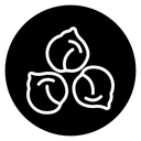 Chickpea icon