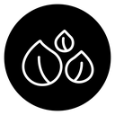 Chickpea icon