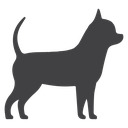 Chihuahua dog icon