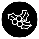 Christmas holly berry icon