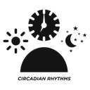 Circadian rhythms icon
