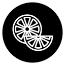 Citrus fruit icon